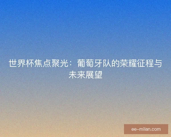 世界杯焦点聚光：葡萄牙队的荣耀征程与未来展望