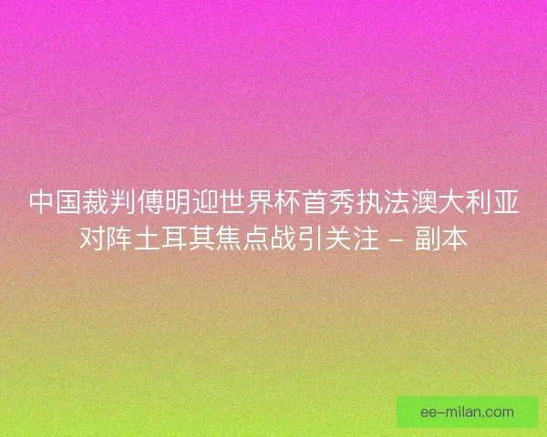 中国裁判傅明迎世界杯首秀执法澳大利亚对阵土耳其焦点战引关注 - 副本